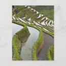 Recherche de yunnan cartes postales Paysage