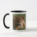 Recherche de kenya tasses Regarder l'appareil photo