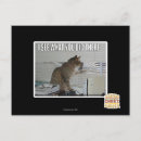 Recherche de as cartes postales Je peux avoir cheezburger