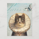 Recherche de chat et papillon cartes postales Chaton