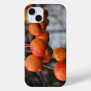 Recherche de pomme rouge iphone coques Pommes