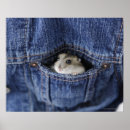 Recherche de hamster mignon posters Mignonne