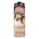Recherche de falcone tasses Oiseaux