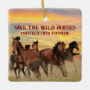 Recherche de cheval de mustang ornements Sauvage