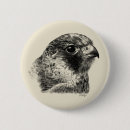 Recherche de faucon badges Oiseau de proie