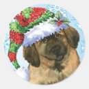 Recherche de leonberger autocollants Chiot