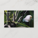Recherche de nature aquatique cartes visite Poissons