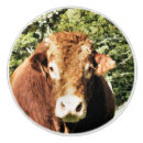 Recherche de bétail boutons et poignées de porte Agriculture