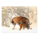 Recherche de magnifique posters Neige