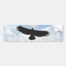 Recherche de rapace voiture autocollants Faucon