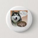 Recherche de alaskan badges Dog