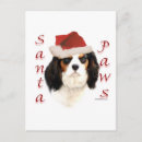 Recherche de cavalier king charles spaniel vœux cartes Épaniel