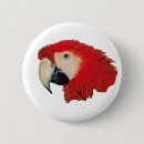 Recherche de perroquets badges Oiseaux