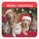 Recherche de chiens et chats autocollants Joyeux noël