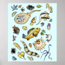 Recherche de poissons exotiques posters Aquarium