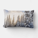 Recherche de alpin coussins Neige