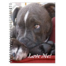 Recherche de pitbull carnets Amoureux des chiens