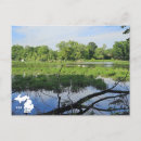 Recherche de swan cartes postales Paysage