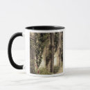 Recherche de érodé tasses Photographie