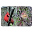 Recherche de paires magnets Oiseaux