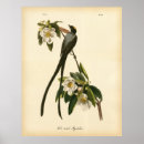 Recherche de four posters Vintage