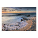 Recherche de foule posters Nature