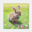 Recherche de lapin de pâques vintage magnets Animal