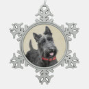 Recherche de scottish ornements Chiot