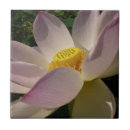 Recherche de lotus carreaux Floral