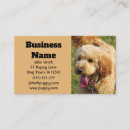 Recherche de animaux drôles cartes visite Caniche