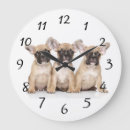 Recherche de chiot de bouledogue français horloges Animal