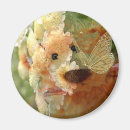 Recherche de ours bourr maison deco Animaux