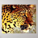 Recherche de big eyes posters Animal