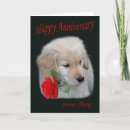 Recherche de chiot de golden retriever vœux cartes D'anniversaire