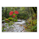 Recherche de éclaboussure rouge Photographie