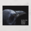 Recherche de corneille cartes postales Oiseau
