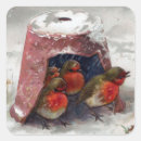 Recherche de merle autocollants Oiseaux