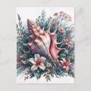 Recherche de coquilles de conque cartes postales Coquillage