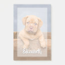 Recherche de chic post its Image