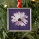 Recherche de flower ornements Garden