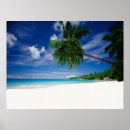 Recherche de seychelles art Plage