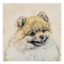 Recherche de chien pomeranian posters Zwergspitz