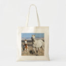 Recherche de jument sacs Poulain