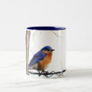 Recherche de oiseaux bleus orientaux tasses Oiseau bleu