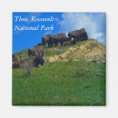 Recherche de landes magnets National