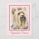 Recherche de yorkshire terrier cartes postales Chiot