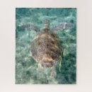 Recherche de tortue de mer puzzles Récif