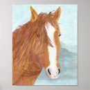 Recherche de wild horse posters Sauvage