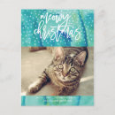 Recherche de chat de vacances cartes postales Bonnes fêtes