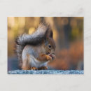 Recherche de consommation cartes postales Nourriture